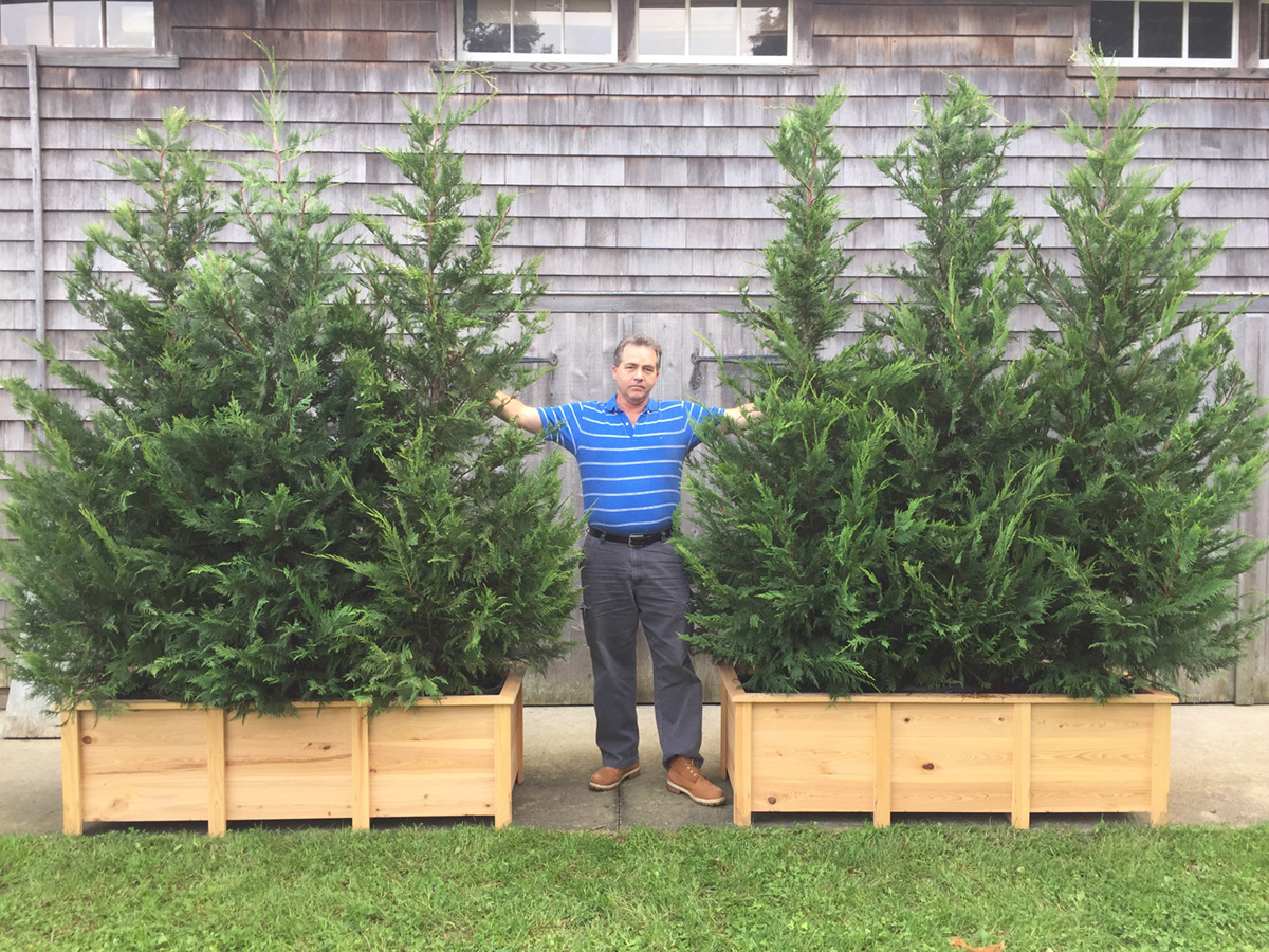 Privacy Planter Rentals